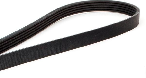 ACDelco 5PK865 - Cinghia Poly-V www.autoricambi360.it