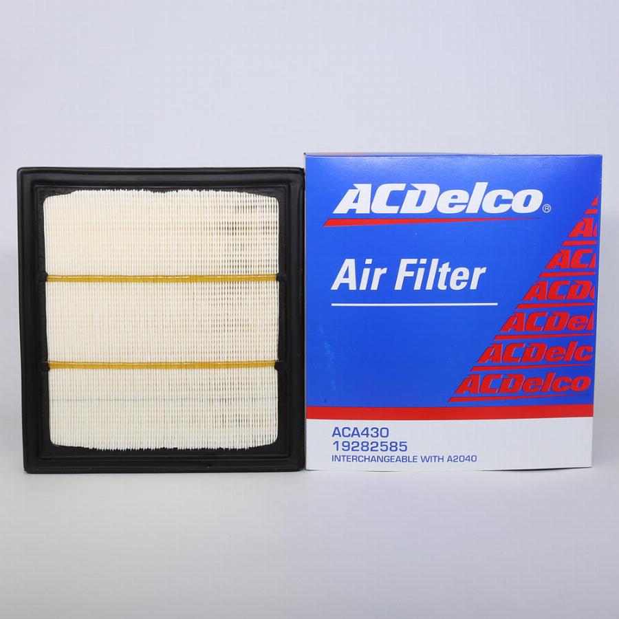 ACDelco ACA430 - Filtro aria www.autoricambi360.it