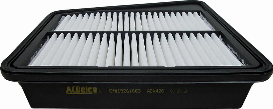 ACDelco ACA426 - Filtro aria www.autoricambi360.it