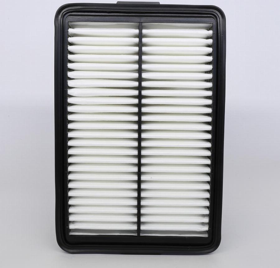 ACDelco ACA388 - Filtro aria www.autoricambi360.it