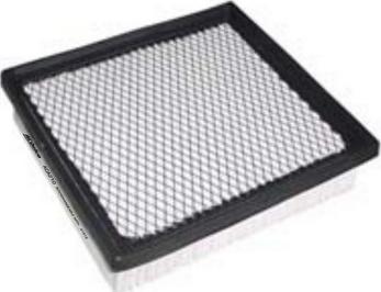 ACDelco ACA210 - Filtro aria www.autoricambi360.it
