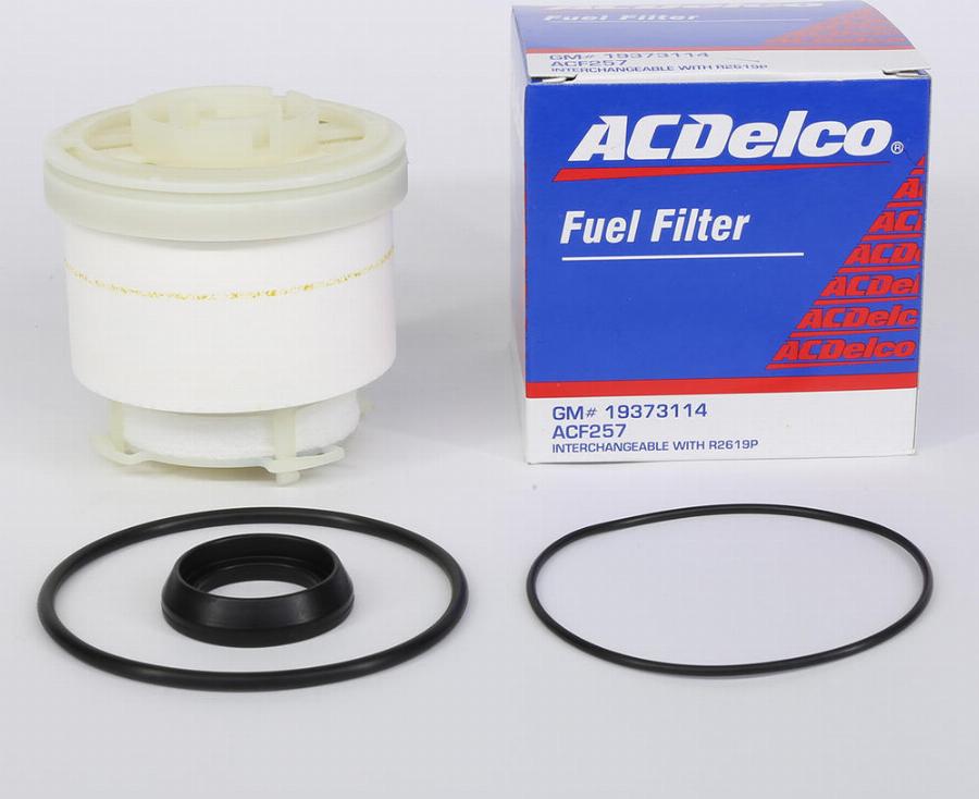 ACDelco ACF257 - Filtro carburante www.autoricambi360.it