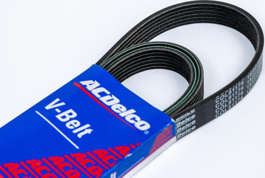 ACDelco 19351509 - Cinghia Poly-V www.autoricambi360.it