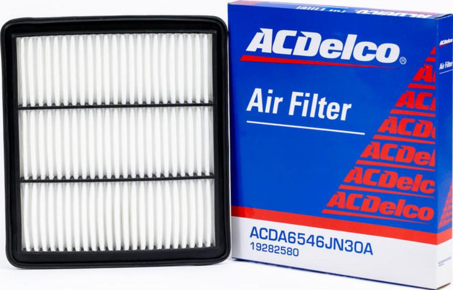 ACDelco 19282580 - Filtro aria www.autoricambi360.it