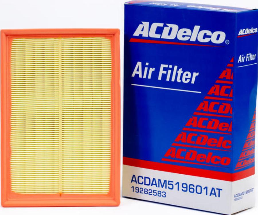 ACDelco 19282583 - Filtro aria www.autoricambi360.it