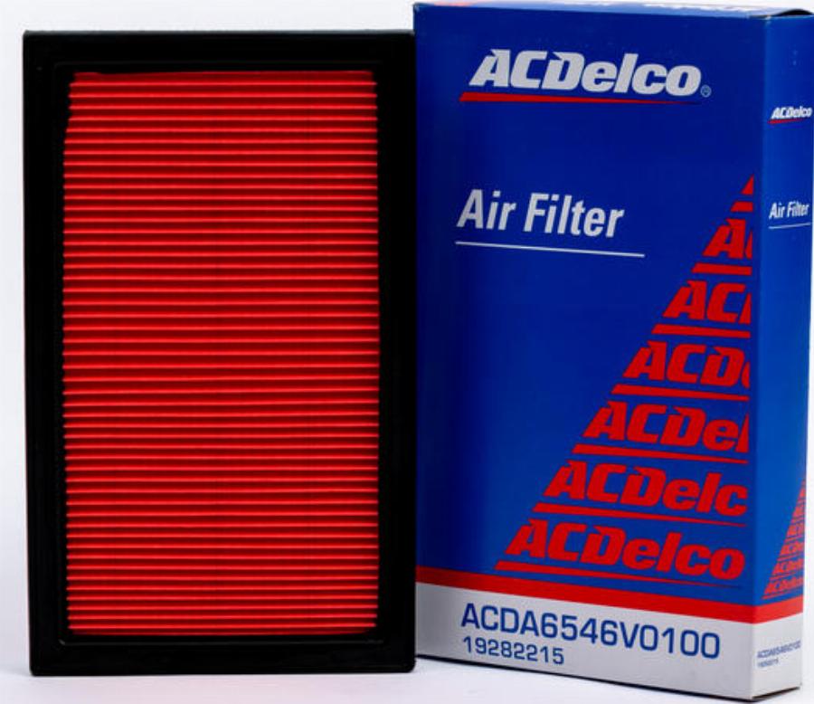 ACDelco 19282215 - Filtro aria www.autoricambi360.it