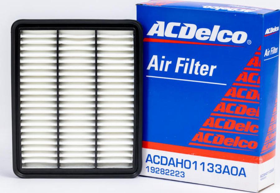 ACDelco 19282223 - Filtro aria www.autoricambi360.it