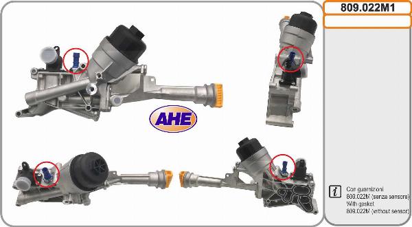 AHE 809.022M1 - Radiatore olio, Olio motore www.autoricambi360.it