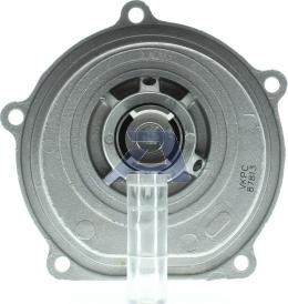 AISIN WPH-902 - Pompa acqua www.autoricambi360.it