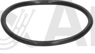 Alfa e-Parts AF10773 - Guarnizione, Termostato www.autoricambi360.it