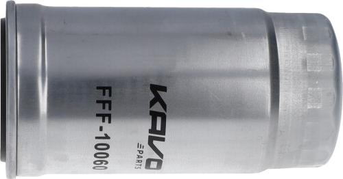 AMC Filter FFF10060 - Filtro carburante www.autoricambi360.it