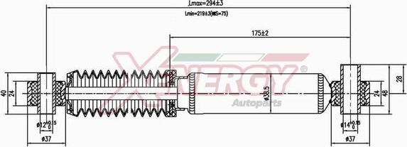 AP XENERGY X101341 - Ammortizzatore www.autoricambi360.it