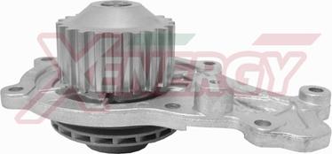 AP XENERGY X202942 - Pompa acqua www.autoricambi360.it