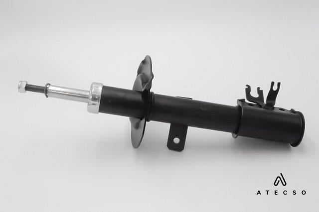 ATECSO AMT00113 - Ammortizzatore www.autoricambi360.it