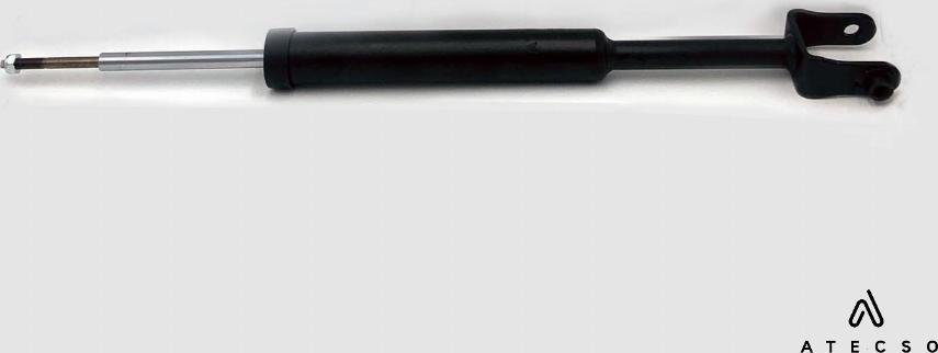 ATECSO AMT00289 - Ammortizzatore www.autoricambi360.it