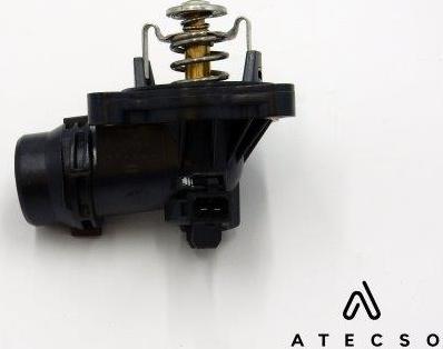 ATECSO TRM00198 - Guarnizione, Alloggiam. termostato www.autoricambi360.it