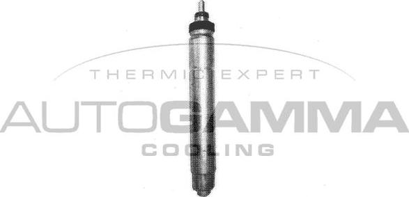 Autogamma 106300 - Essiccatore, Climatizzatore www.autoricambi360.it