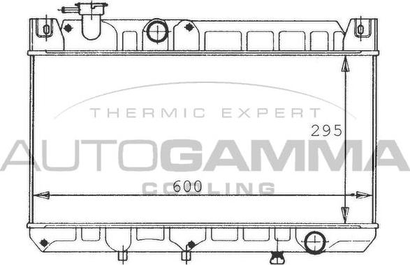 Autogamma 100479 - Radiatore, Raffreddamento motore www.autoricambi360.it