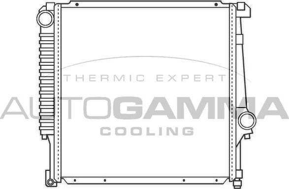 Autogamma 100099 - Radiatore, Raffreddamento motore www.autoricambi360.it