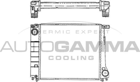Autogamma 100097 - Radiatore, Raffreddamento motore www.autoricambi360.it