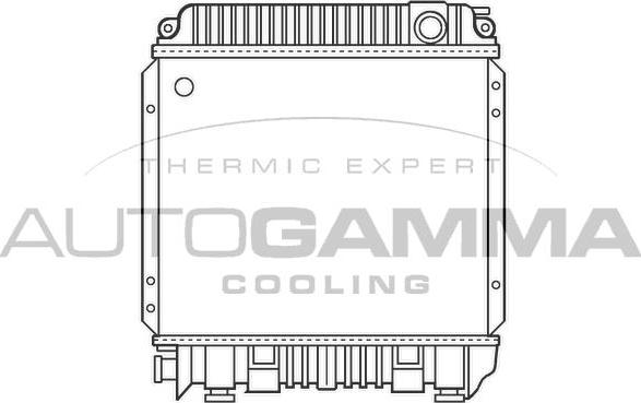 Autogamma 100085 - Radiatore, Raffreddamento motore www.autoricambi360.it