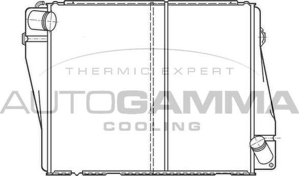 Autogamma 100081 - Radiatore, Raffreddamento motore www.autoricambi360.it