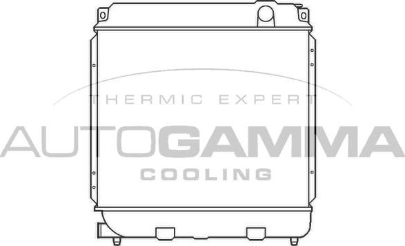 Autogamma 100083 - Radiatore, Raffreddamento motore www.autoricambi360.it