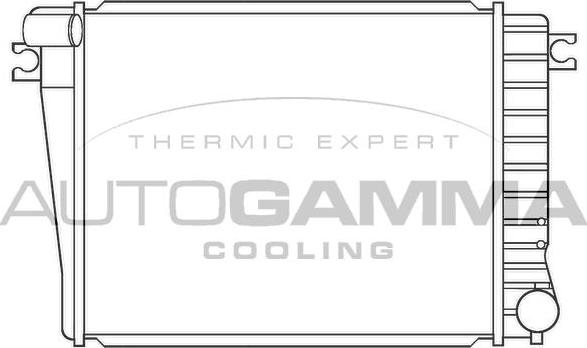 Autogamma 100134 - Radiatore, Raffreddamento motore www.autoricambi360.it