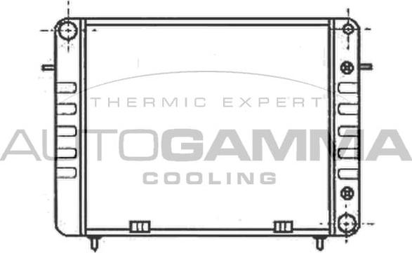 Autogamma 100702 - Radiatore, Raffreddamento motore www.autoricambi360.it