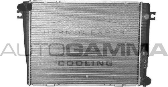 Autogamma 102039 - Radiatore, Raffreddamento motore www.autoricambi360.it