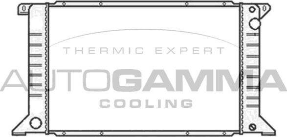 Autogamma 102079 - Radiatore, Raffreddamento motore www.autoricambi360.it