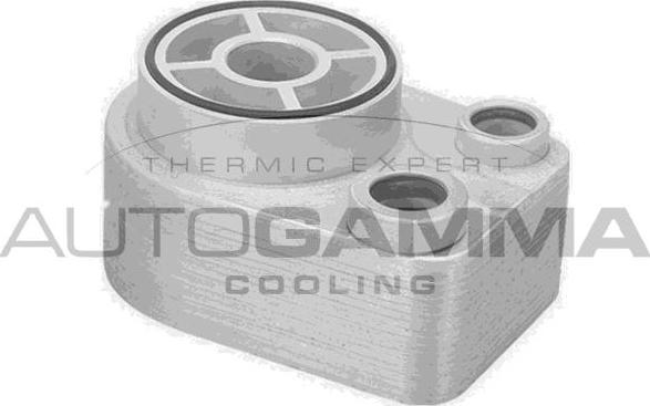 Autogamma 107926 - Radiatore olio, Olio motore www.autoricambi360.it