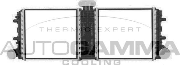 Autogamma 107420 - Radiatore, Raffreddamento motore www.autoricambi360.it