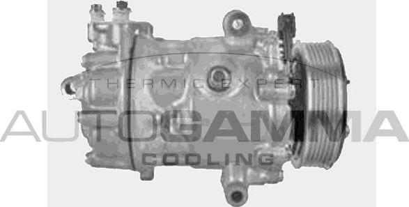 Autogamma 118609 - Compressore, Climatizzatore www.autoricambi360.it