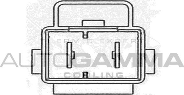 Autogamma GA220630 - Ventola, Raffreddamento motore www.autoricambi360.it