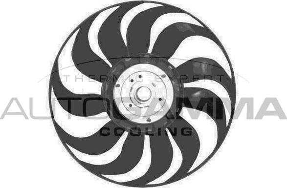 Autogamma GA200869 - Ventola, Raffreddamento motore www.autoricambi360.it