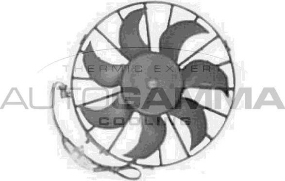 Autogamma GA201795 - Ventola, Raffreddamento motore www.autoricambi360.it
