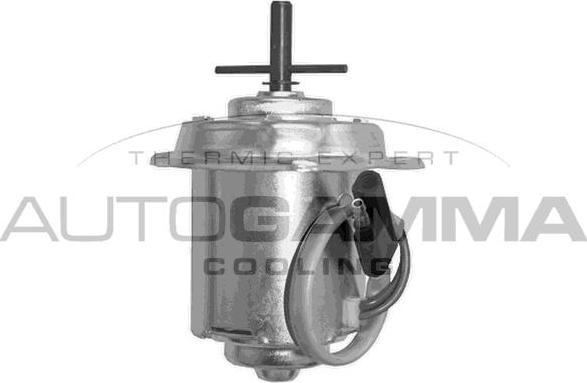 Autogamma GA225002 - Ventola, Raffreddamento motore www.autoricambi360.it