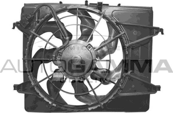 Autogamma GA228205 - Ventola, Raffreddamento motore www.autoricambi360.it