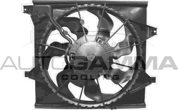 Autogamma GA228203 - Ventola, Raffreddamento motore www.autoricambi360.it