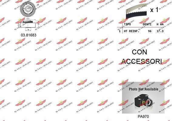 Autokit 04.5319PA - Kit cinghie dentate www.autoricambi360.it