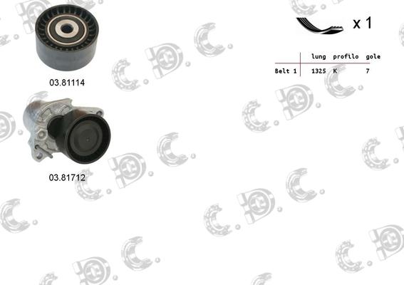 Autokit 06.0100 - Kit Cinghie Poly-V www.autoricambi360.it