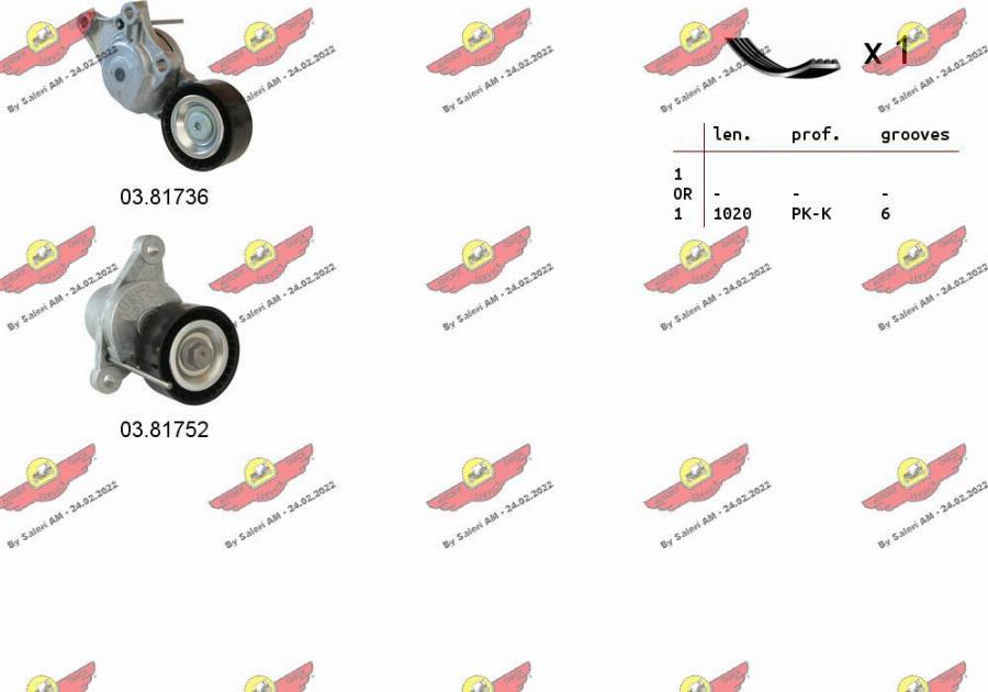 Autokit 06.0135 - Kit Cinghie Poly-V www.autoricambi360.it
