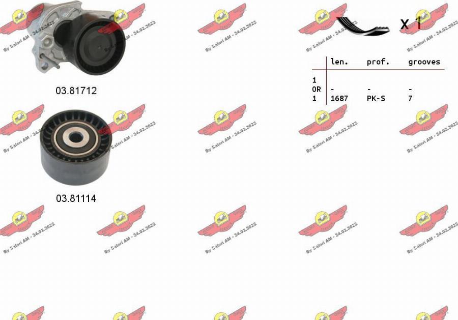 Autokit 06.0133 - Kit Cinghie Poly-V www.autoricambi360.it