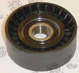 Autokit 03.544 - Galoppino / Guidacinghia, Cinghia Poly-V www.autoricambi360.it