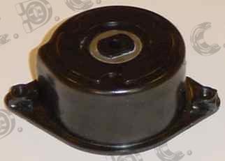 Autokit 03.80686 - Tendicinghia, Cinghia Poly-V www.autoricambi360.it