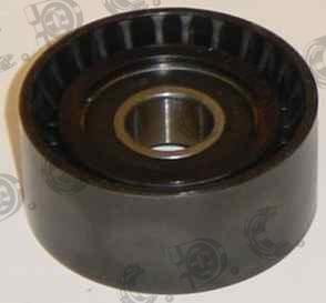 Autokit 03.80818 - Galoppino / Guidacinghia, Cinghia Poly-V www.autoricambi360.it
