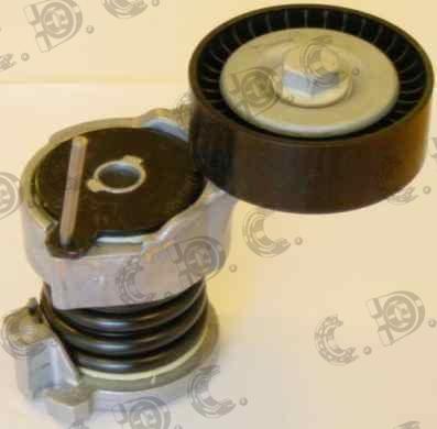 Autokit 03.80763 - Tendicinghia, Cinghia Poly-V www.autoricambi360.it