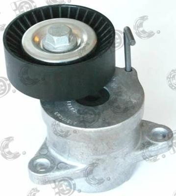 Autokit 03.81617 - Tendicinghia, Cinghia Poly-V www.autoricambi360.it