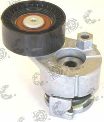 Autokit 03.81061 - Tendicinghia, Cinghia Poly-V www.autoricambi360.it
